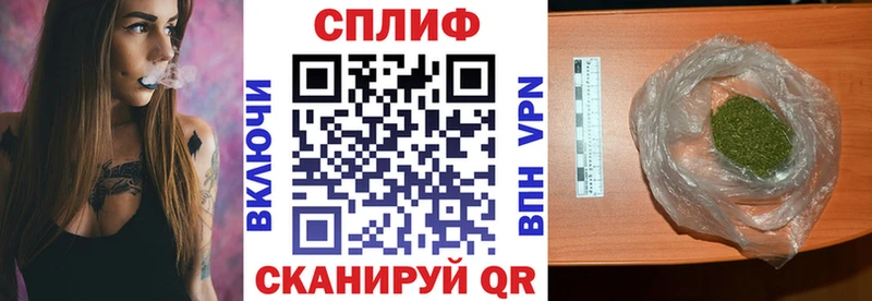 закладка Шелехов гидра как войти Шишки марихуана гибрид